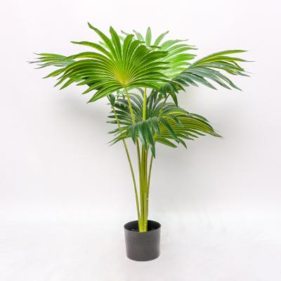 China Home Long Life 100cm Fan Kwai Plant Eco Friendly Artificial Bonsai Trees With Pot for sale