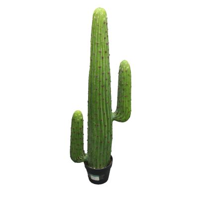 China Large Indoor Two-Headed Artificial Cacti Mexico Cactus Plant 117cm for sale