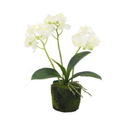 China Wholesalers Wholesalers High Quality Home Artificial White Orchid Small Artificial Phalaenopsis Orchid Decoration Wedding Party Hotel Hot Sale for sale