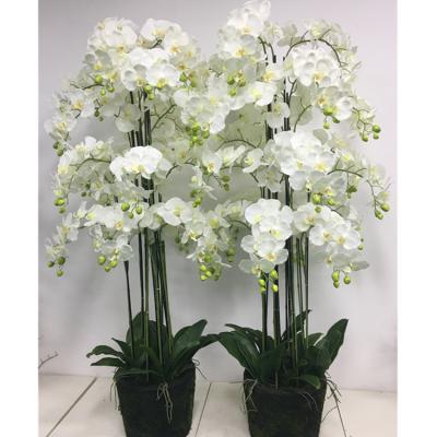 China Festival/Party/Wedding Giant Fake Phalaenopsis Flower/Home Orchid Wholesale Artificial Flower With Pot Fake Orchid for sale