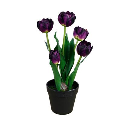 China Mini Purple Tulip Flower Artificial Purple Tulip Tulipano Tulip Table Decoration Real Touch 56*52*41cm for sale