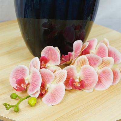 China Environment friendly & Popular High Quality Artificial Real Touch Single Stem Orchid Flowers Multiple Colors Long Stem Orchid for sale