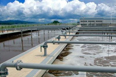 China Granjas de la industria de las aves de corral del sistema de tratamiento de aguas residuales de la acuicultura diversas en venta