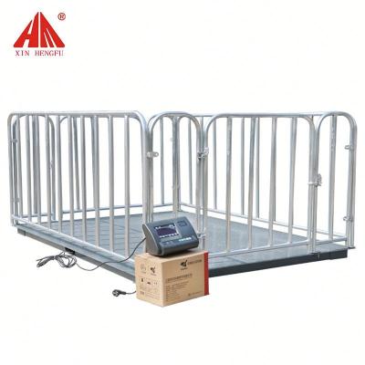 China Weight Function Animal Farm Use Electric Fence Scale To Weigh Animal for sale