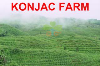 Verified China supplier - Shenzhen Ator Food Co., Ltd.