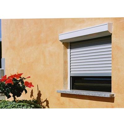 China Mental Magnetic Screen Cheap House Windows Security With Roller Window Shutter for sale