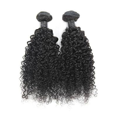 China Human Supply Wholesale Kinky Curly Hair Weft 100g 8-30inch Jerry Curl Virgin Myanmar Hair Weft Extension HW04 for sale