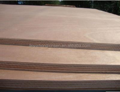 Chine Indoor 15mm birch plywood supplier, AA/BB grade birch plywood/Linyi marine plywood à vendre