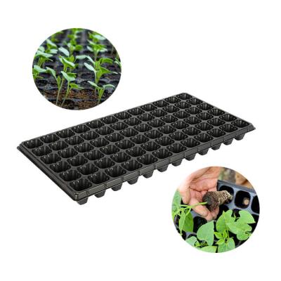 China For Vegetable Plant Seed Tray 32 Nursery 50 72 98 105 128 200 Cells Rectangular PS Seed Nursery Trays for sale