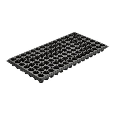 China For Nursery Wholesale Vegetables 105 Cell PS Professional Manufacturer Plastic Tray Seeding Flatbed for sale