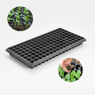 China For Nursery Of Vegetables 128 Cell Socket Tray Nursery Seed Starting Grow Plastic Germination Tray For Greenhouse for sale