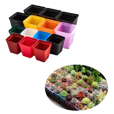 China Plant Pot Succulent Flower Pot For Plant FD65 Succulent Plant Plastic Succulent Flower Pots for sale