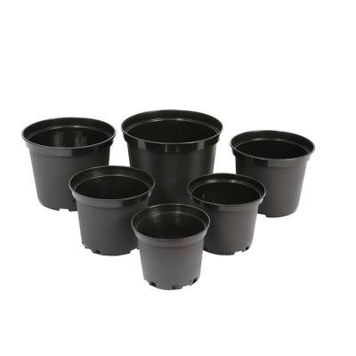 China CLASSIC 1 2 3 4 5 Gallon Pots 2.8L Black Plastic Nursery Flower Pot JA19 For Woody Plants for sale