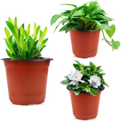 China Various Color PP Plastic Nursery Kids Double Color Flower Pot Plant Pots For Plants Planter Garden for sale