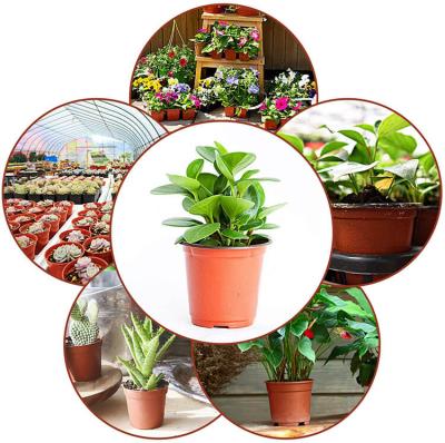 China BN140 PP Double Color Flower Pot Nursery Plant Factory Wholesale CLASSIC Red Plastic Flower Pots for sale