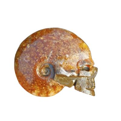 China China Hand Carved Small Ammonite Stone Skull Carving Quartz Crystal Fossil Skull For Collection for sale