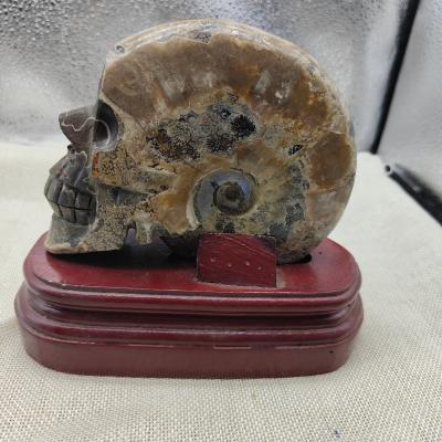 China Hot Sale China Rock Natural Ammonite Quartz Fossil Skull Statue Hand-carved Skull Carving For Gift for sale