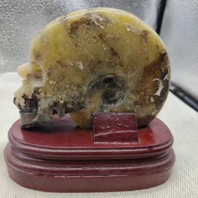 China China natural quartz ammonite healing stone rock skull fossil statue Hand-carved skull carving for gift for sale