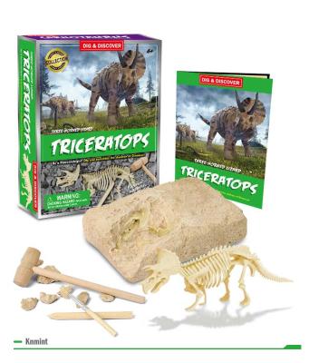 China 2022 New Educational Toys Dino Toy Dinosaur Fossil Excavation Kits Jurassic Excavation Other Educational Toys For Children for sale