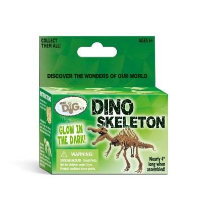 China 6 Asst. Baby Dino Mini Dinosaur Skeleton Dig It Toy Dinosaur Model Kits Excavation Toy Kids Toy On The Line for sale