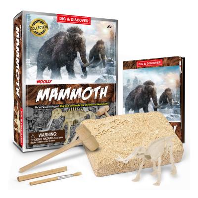 China Educational DIY Toy Set STEM Educational Dig Discover Giant Skeleton Toy Ice Age Toy Archeology Excavation Kit STEM Kids Toys Dig It for sale