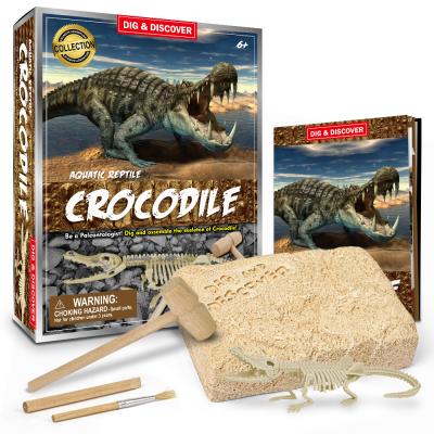 China DIY Toy Set Crocodile Toy Education Educational Toys Dig Kits Excavation Crocodile Plastic Skeleton Play Educational Supplies for sale