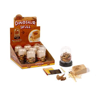 China Children Educational Toy Dinosaur Excavation Toys Set Dino Skull Dig and Display, 8 Matched Educational Toys for sale