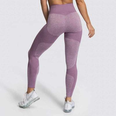 China Antibacterial High Waisted Workout Leggings For Women Gym Fitness Running Pants for sale