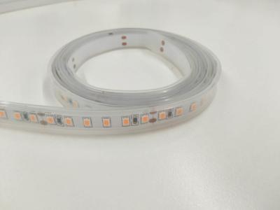 China External Led Strip Lights 2835 LEDs for sale