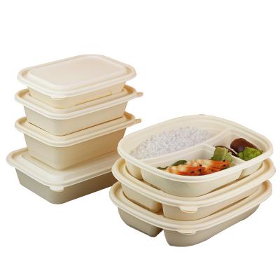 China CLASSIC Manufacturers Provide Eco-Friendly Disposable Lunch Box Takeout Dishes For Store Food for sale