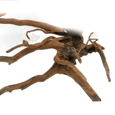 China Random Type Stocked Landscape Aquarium Driftwood Rhododendron Dropship Aquarium Decoration Natural Wooden Tree Root for sale