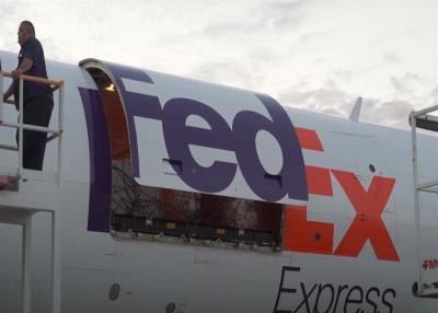 China Internationale expediteur China naar Australië DHL UPS Fedex Global Forwarding Te koop