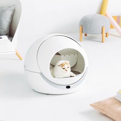 China Sustainable Petree Self Cleaning Cat Litter Box Smart Automatic Top Selling Products Cat Toilet for sale