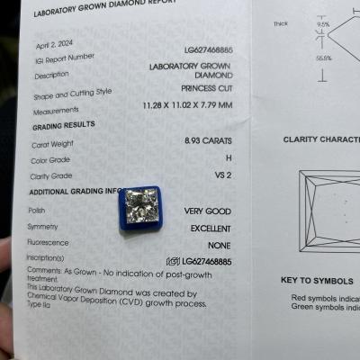 중국 8.93CT H 색상 VS2 맑음 2EX CVD 실험실 성인 공주 절단 다이아몬드 판매용