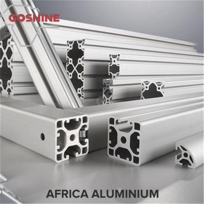 China 6061 T5 T6 Industrial Aluminium Profiles Aluminum Extruded Sections Anodize Surface for sale