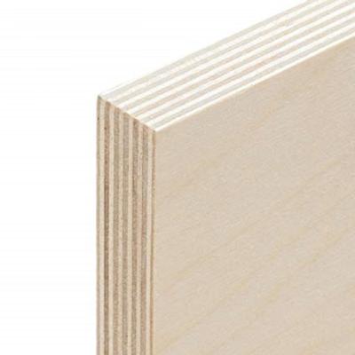 China Strong Hot Sale Baltic Birch Plywood 18mm Plywood For Furniture for sale