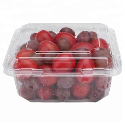 China 500g Fruit Packing Crate Biodegradable Wholesale Clear Plastic Clamshell Blister Packing for sale