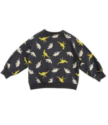 China Anti-Shrink 2023 Hot Selling Fall out fits Cute Long sleeve Dinosaur Pattern Autumn Kids Boy Crewneck  sweatshirt for sale