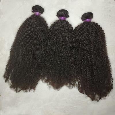 China Hot Sale 3B 3C 4A 4B 4C Curly Weft Mongolian Kinky Curly Human Hair 10