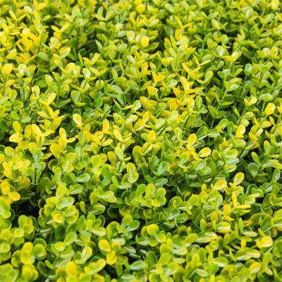 China Factory Wholesale Eco-friendly Decorative Green Artificial Wall Boxwood Hedge For Green Exterior Wall for sale