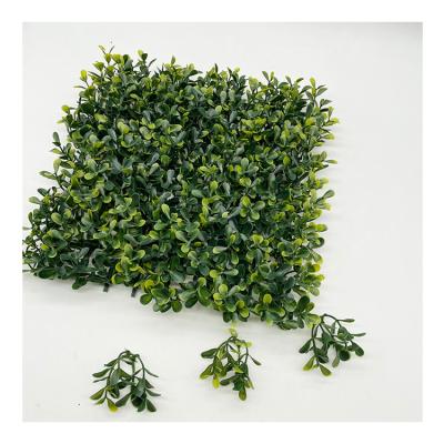 China Jiangsen Eco-friendly Green Grass Plants Wall Artificial Foliage Artificial Fence Boxwood Hedge zu verkaufen