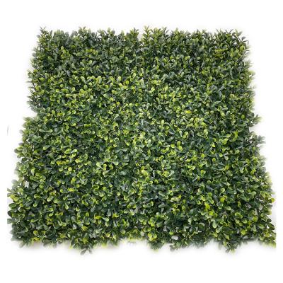 China Jiangsen Eco-friendly Artificial Artificial Grass Wall Panels Boxwood Plant zu verkaufen