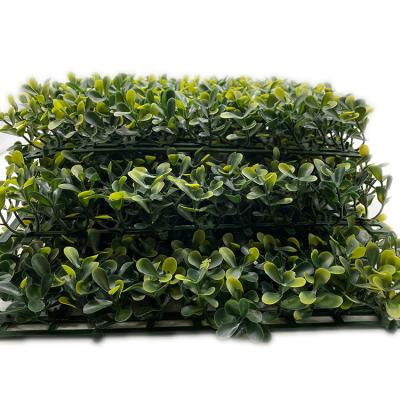 China Factory Eco-friendly Artificial Grass Fence Wall Decoration Jiangsen Boxwood Panels Protect zu verkaufen