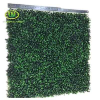 China Good Quality Eco - Friendly Plastic Artificial Boxwood Hedge Panels zu verkaufen