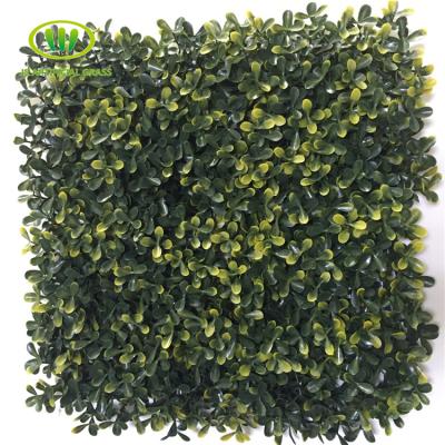 China Eco-friendly Artificial Boxwood Hedge Wall Plastic Rental Avenue zu verkaufen