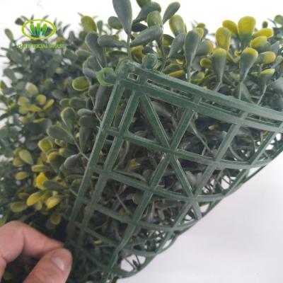 China Eco-friendly Wholesale Artificial Boxwood Panel Hedge For Garden Decoration zu verkaufen