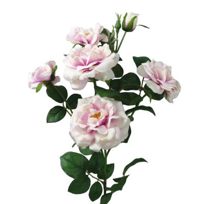 China 6 heads lifelike artificial Rosa flower chinensis stem for bouquets wedding china rose Chinese Rose for sale