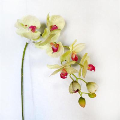 China Artificial Realistic Flower Potted Realistic Orchids Flower Stem Orchid Phalaenopsis Orchids for sale