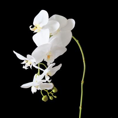 China UV Proof Real Touch Flowers White Orchids Artificial Orchids For Silk Wedding Bouquets Wedding Centerpieces for sale