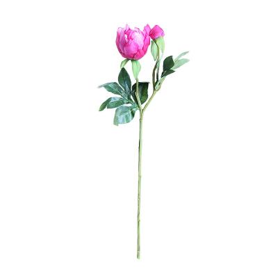 China JP-3 minimalist simulation 2 heads peonies flower photo props retro peony simulation flower spot wholesale for sale